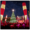 All-New Holiday Light Show